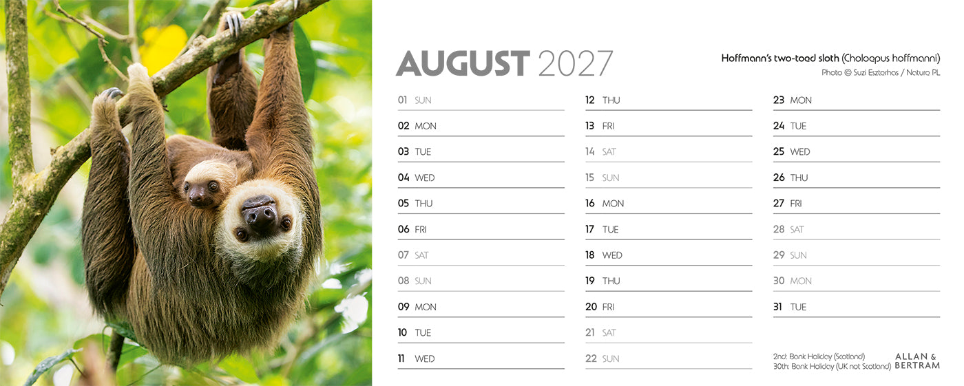 World Appeal Desk Calendar