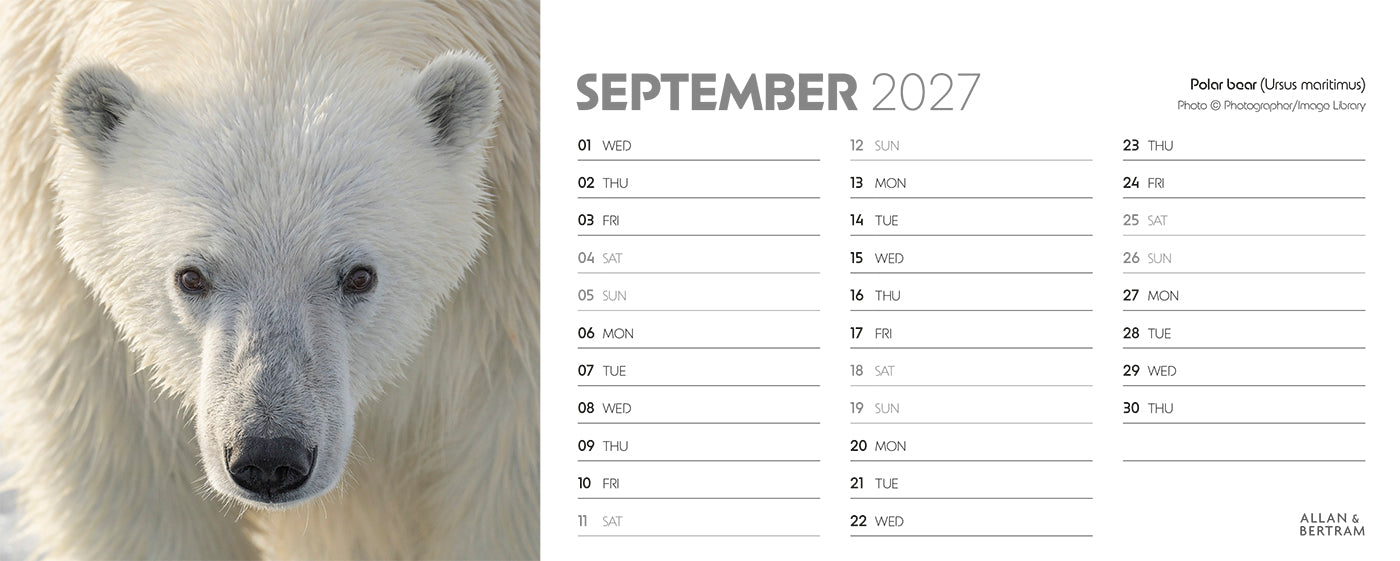 World Appeal Desk Calendar