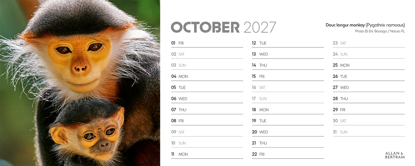 World Appeal Desk Calendar