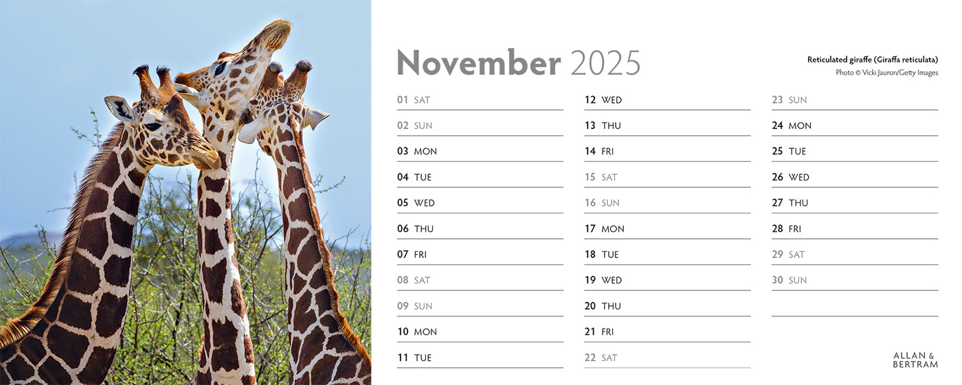 World Appeal Desk Calendar