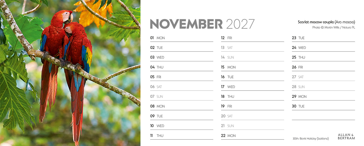 World Appeal Desk Calendar