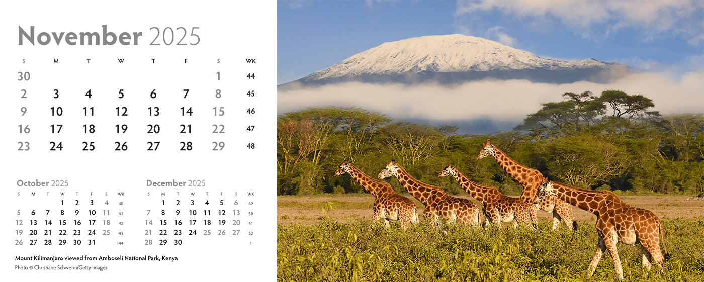 World Appeal Desk Calendar