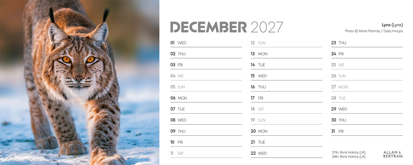 World Appeal Desk Calendar