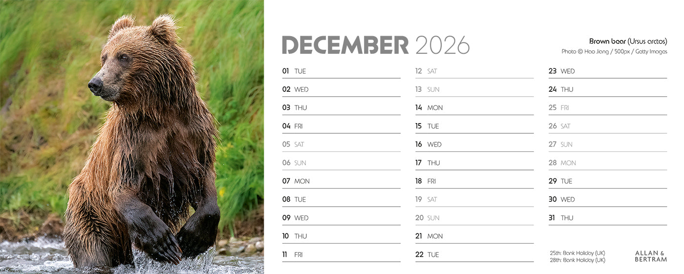 World Appeal Desk Calendar