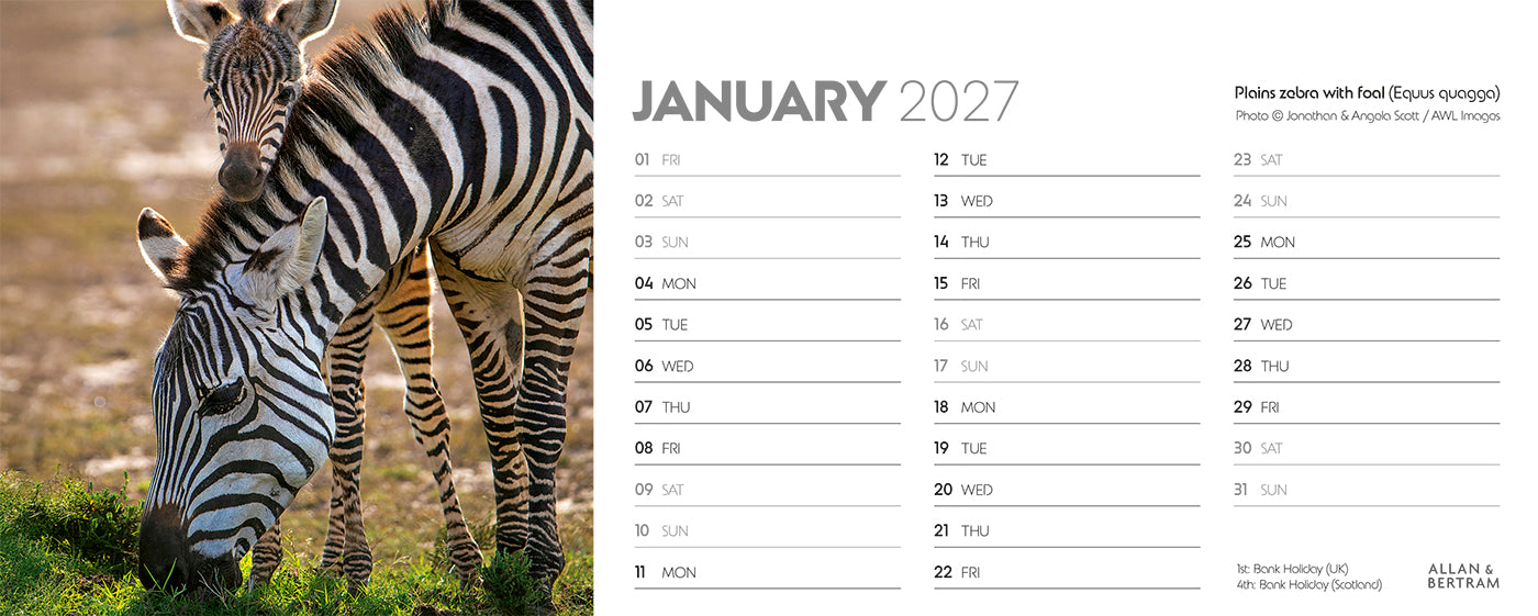 World Appeal Desk Calendar
