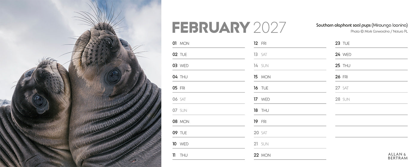 World Appeal Desk Calendar