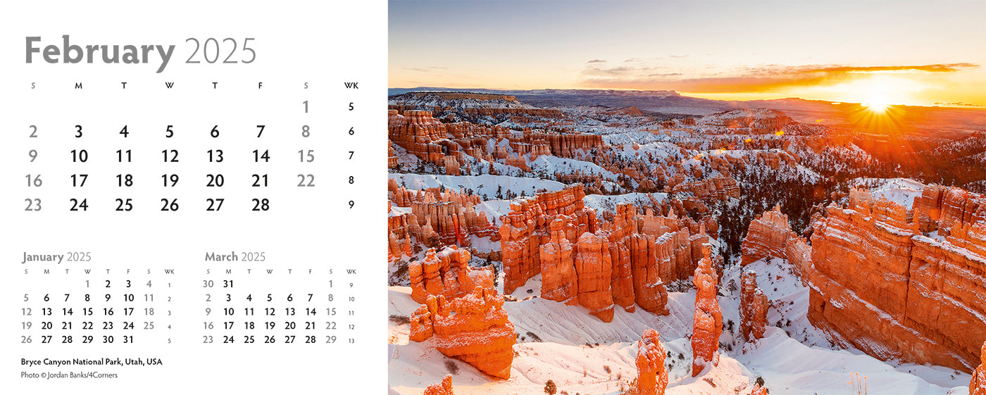 World Appeal Desk Calendar