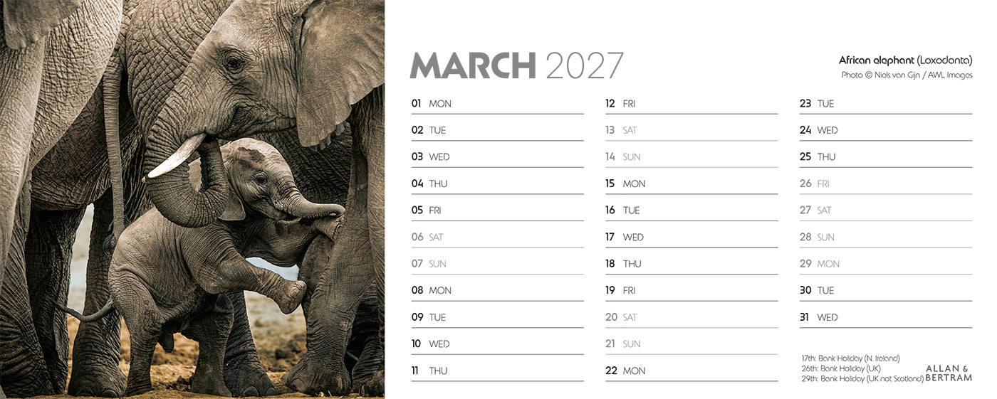 World Appeal Desk Calendar